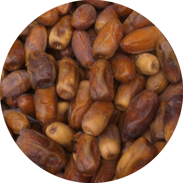 Dattes d'Algérie demi sèches