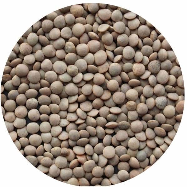 Lentilles Blondes 4mm