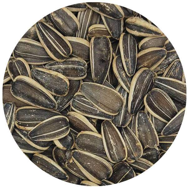Pepites de Tournesol Grillées Salées