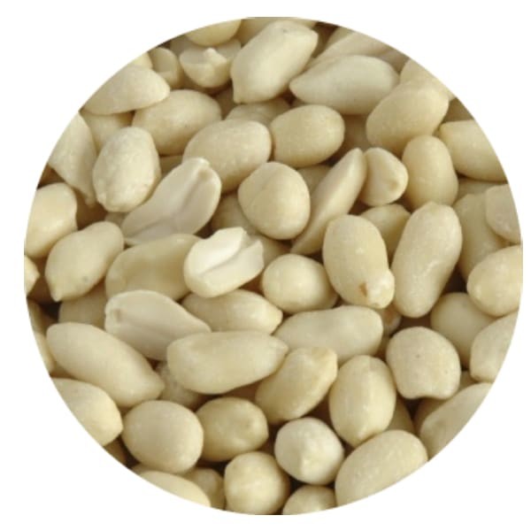 arachides blanchies crues