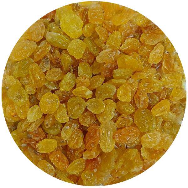 Raisin Golden