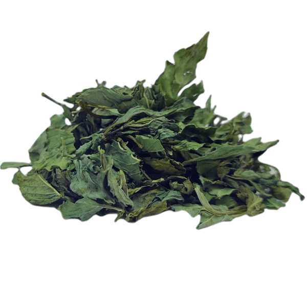 Menthe 40gr