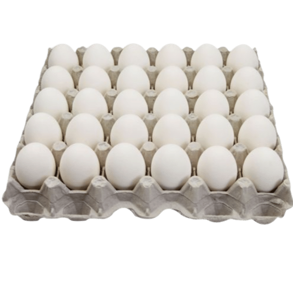 Oeufs Blancs 30 (1)