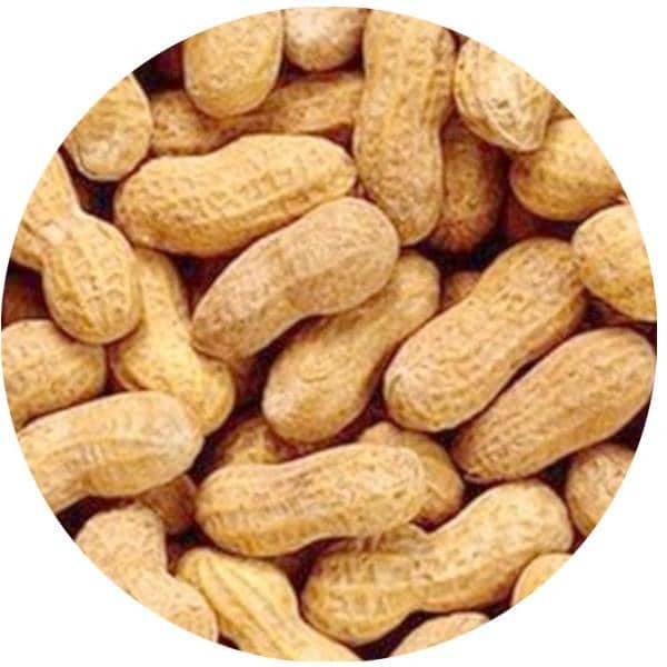 Arachides Coques