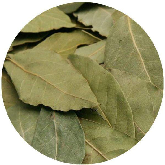 Laurier Feuilles