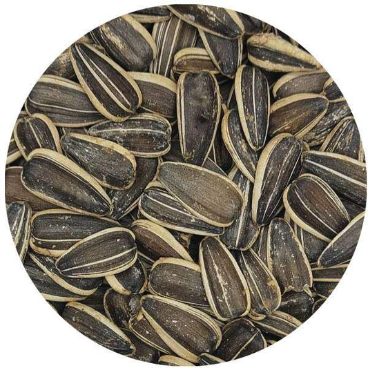 Pepites de Tournesol Grillées Salées