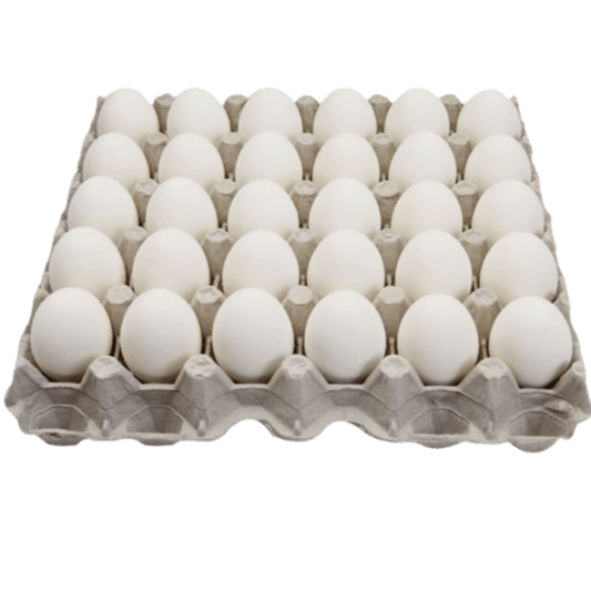 Oeufs Blancs 30 (1)